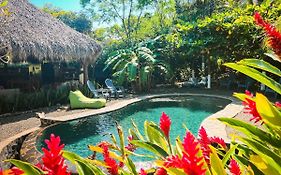 Glamping Hotel Flor y Bambu